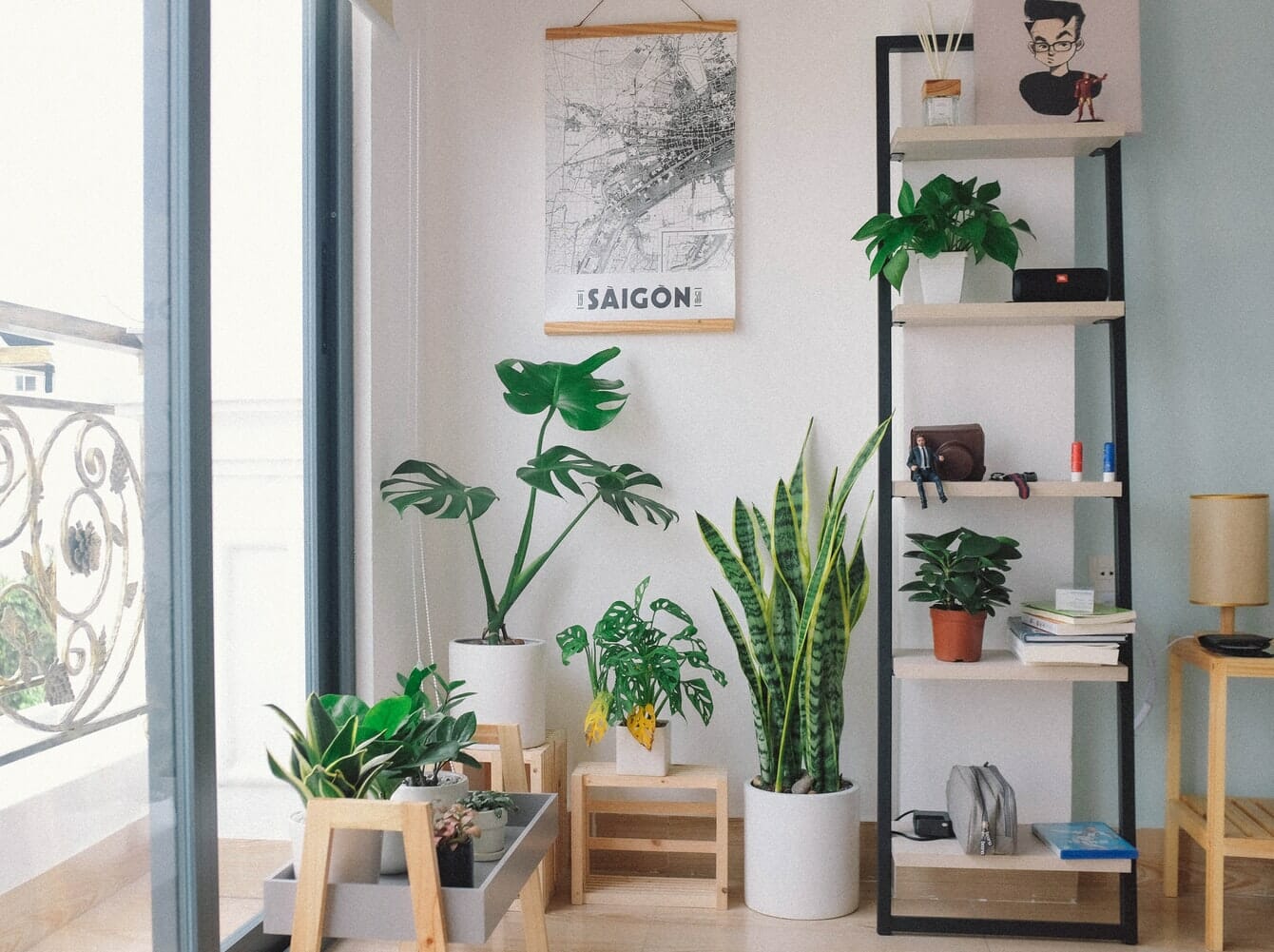 modern houseplant design for a contemporary home